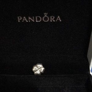 Pandora Retired Shamrock ☘️ Silver Charm